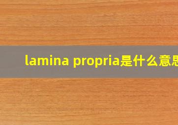 lamina propria是什么意思